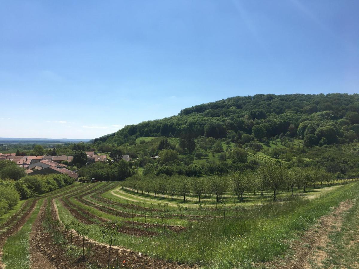 Chambres D'Hotes La Bottee Vieville-sous-les-Cotes Zewnętrze zdjęcie